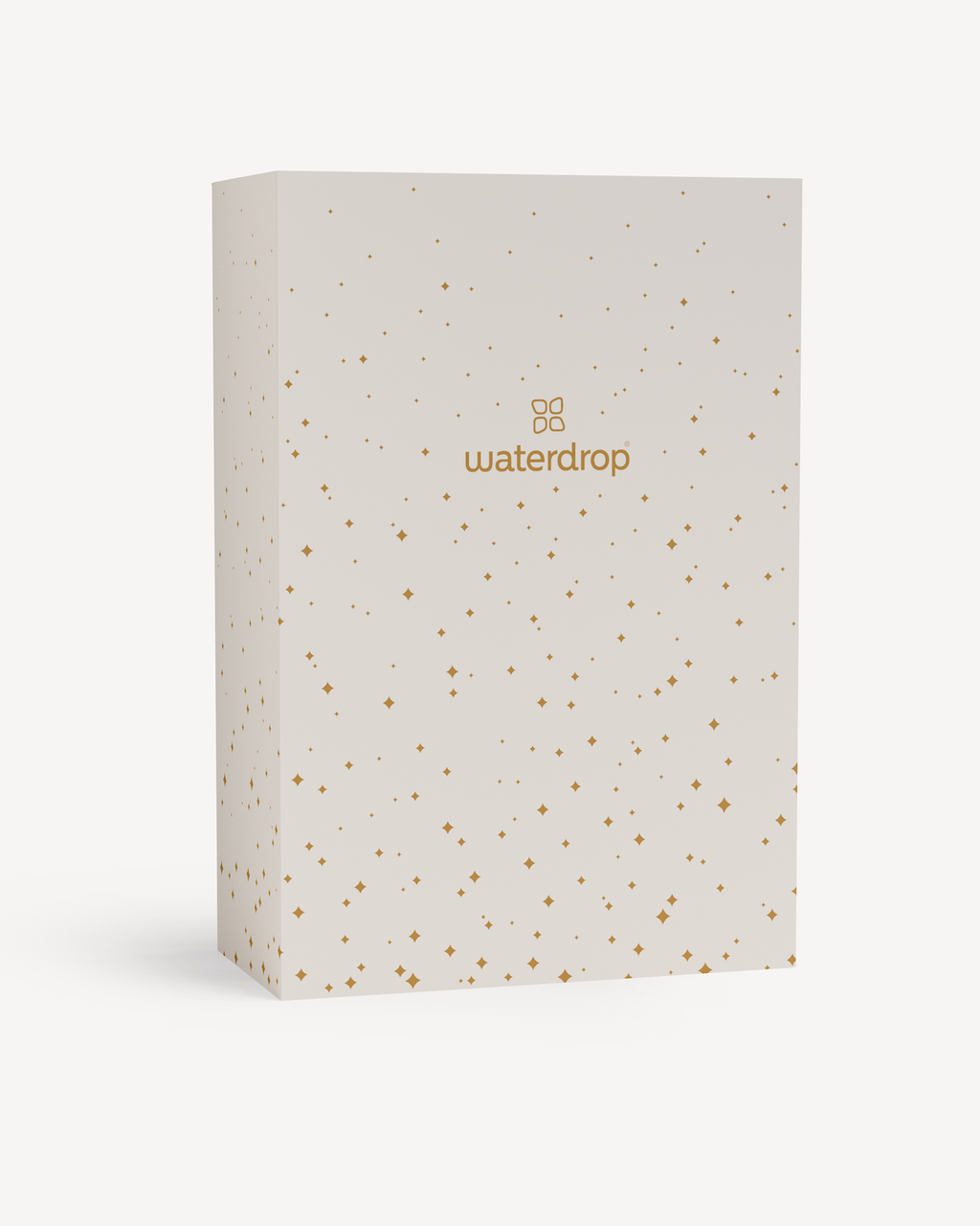 Christmas Gift Box (Reward)